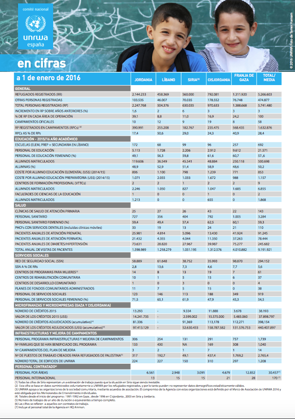 En cifras 1 de enero 2016